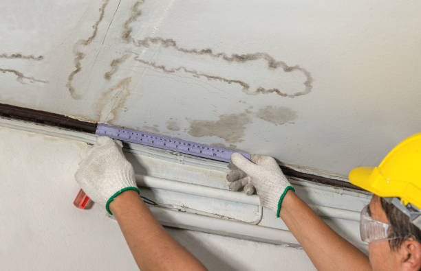 Reliable Water Damage contractor in Shrewsbury, MA by Water Damage Irwin